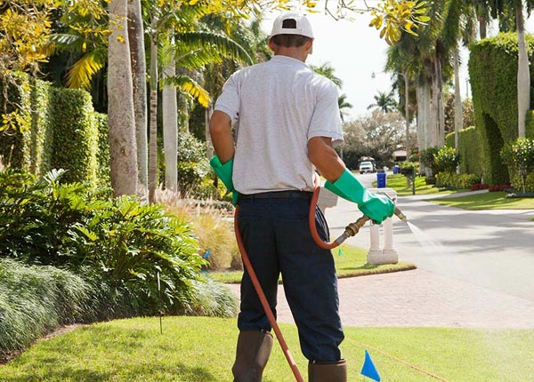 About Saltville VA Pest Control